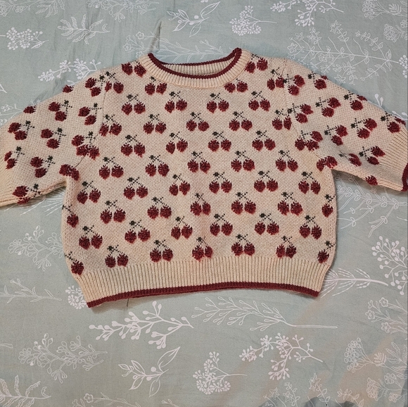 Cider Cream and Red Knit Crop Top - Picture 8 of 11